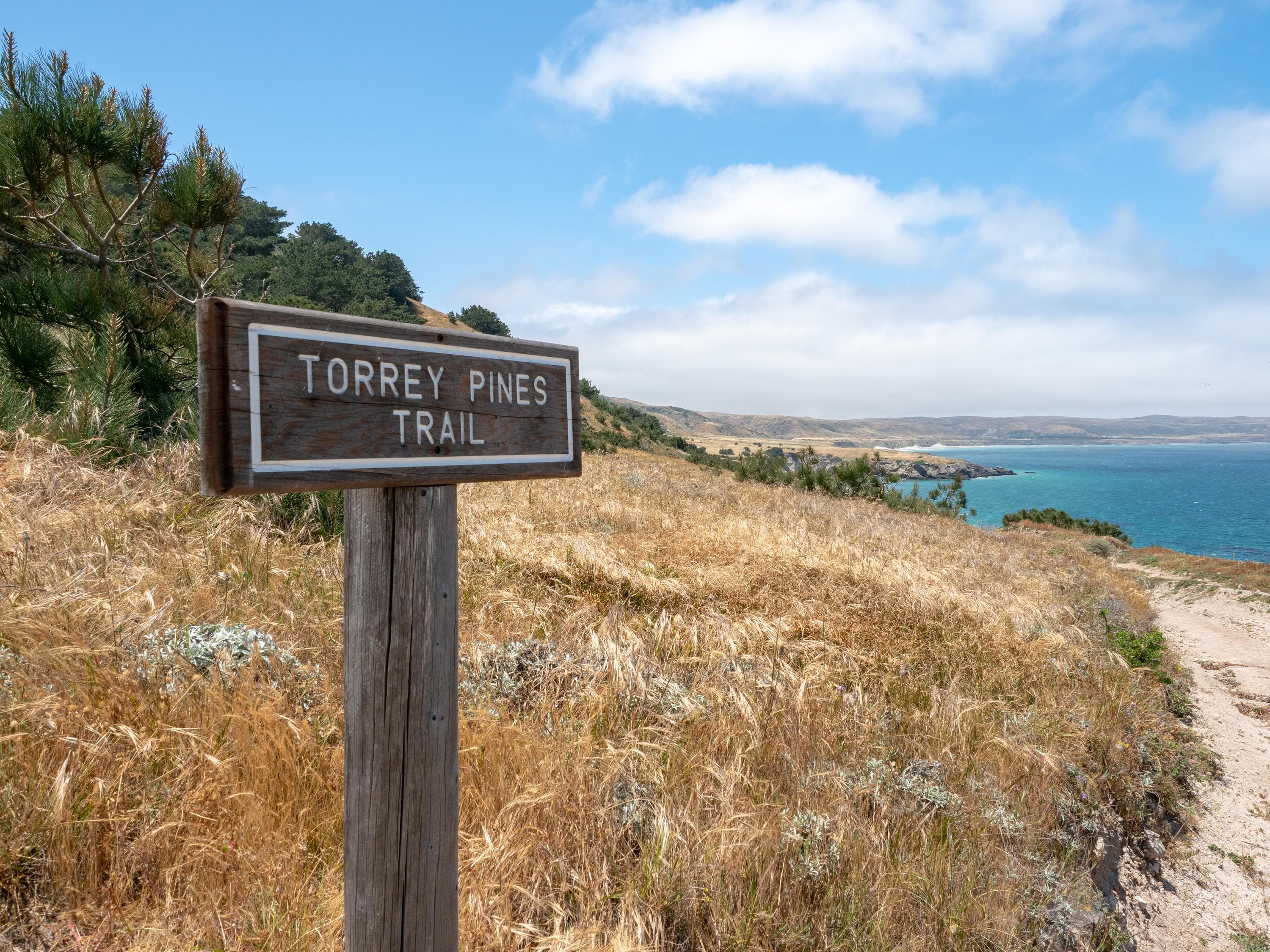 Torry Pines hike, near Ranch at Bechers Bay Pier on a sunny spring day, Santa Rosa Island, Channel Islands National Park, Ventura, California, USA